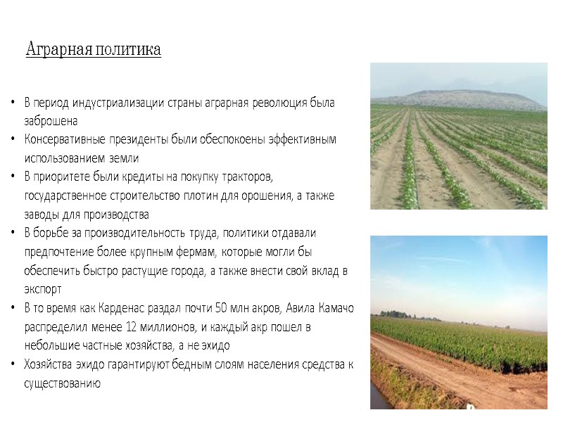 Аграрная политика В период индустриализации страны аграрная революция была заброшена Консервативные президенты были обеспокоены